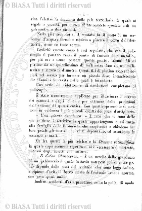 n. 11 (1904) - Pagina: 401