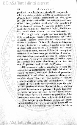 n. 7 (1838) - Pagina: 81