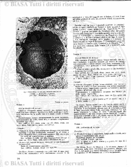 s. 5, n. 3 (1888) - Sommario: p. 33