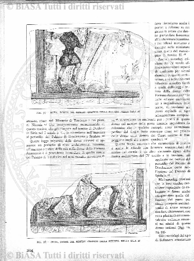 v. 3, n. 3 (1894) - Pagina: 33