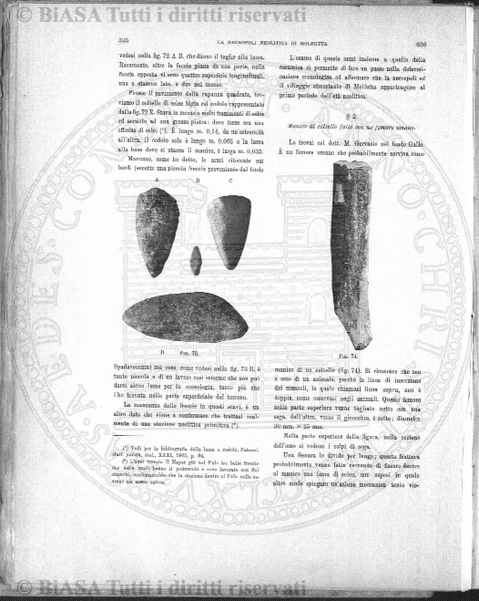v. 17, n. 34 (1850-1851) - Pagina: 265