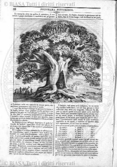 n. 7 (1840) - Pagina: 113