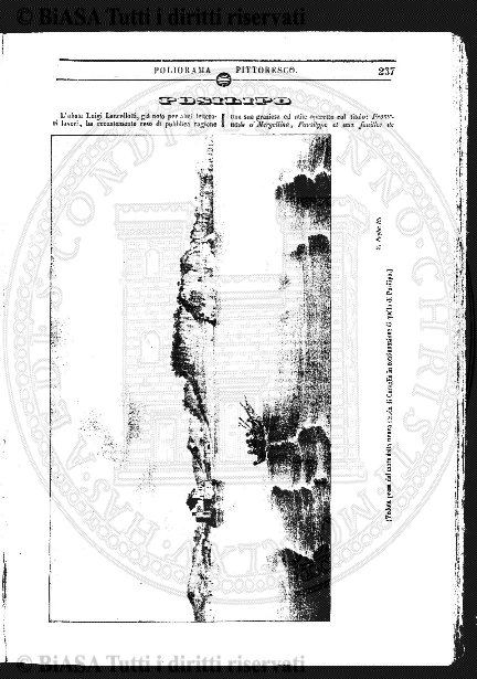 v. 8, n. 6-7 (1899) - Pagina: 81
