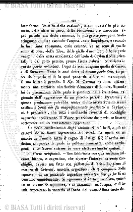 n. 24 (1890-1891) - Pagina: XXXIII