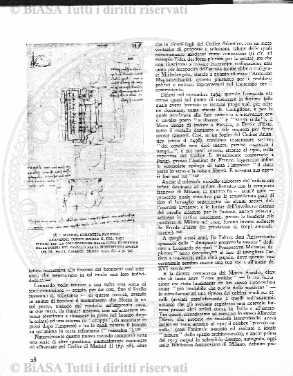 n. 59 (1845-1846) - Pagina: 49