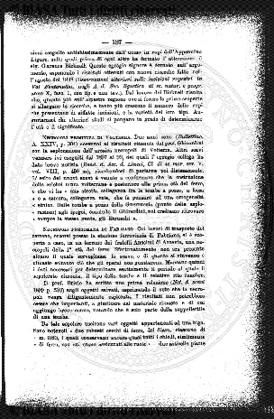 n. 31 (1895) - Frontespizio