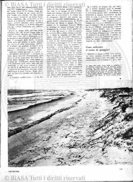 n. 4 (1903) - Pagina: 99