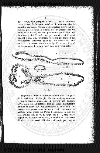 v. 8, n. 6 (1781-1782) - Pagina: 41
