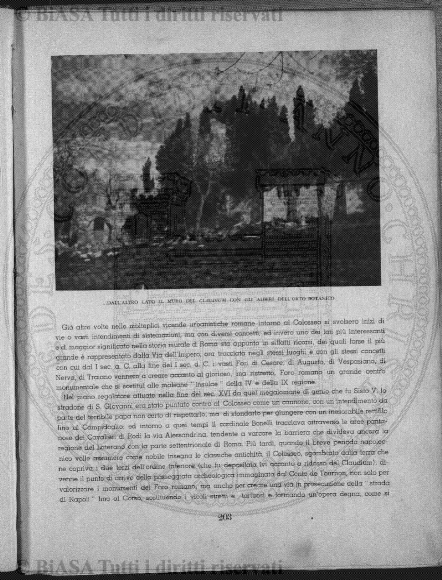 v. 15, n. 33 (1848-1849) - Pagina: 257