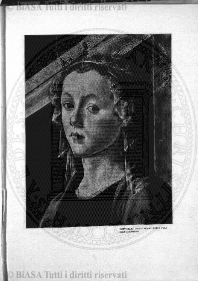 n. 23 (1884) - Frontespizio