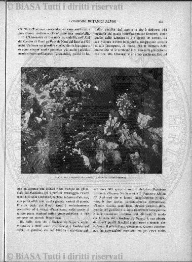 n. 41 (1905) - Frontespizio