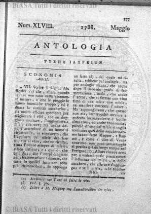 s. 4, v. 19 (1891) - Frontespizio