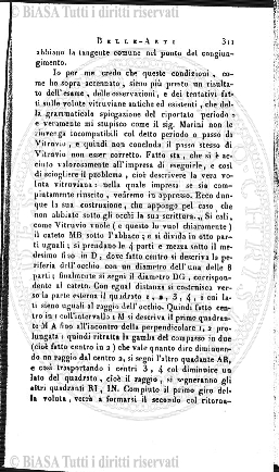 n. 19 (1884) - Frontespizio