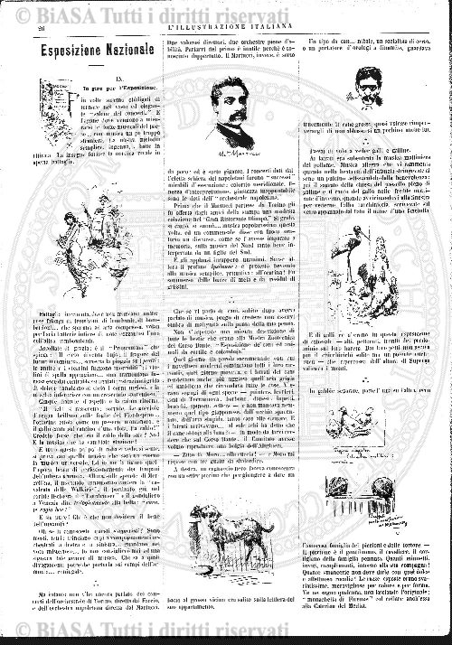 n.5-6 (1869) - Pagina: 65