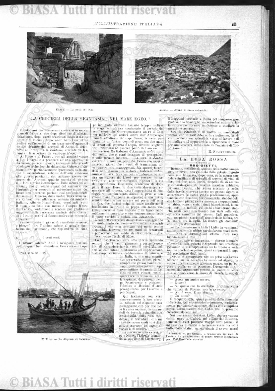 v. 2, n. 8-9 (1884-1885-1886) - Copertina: 1