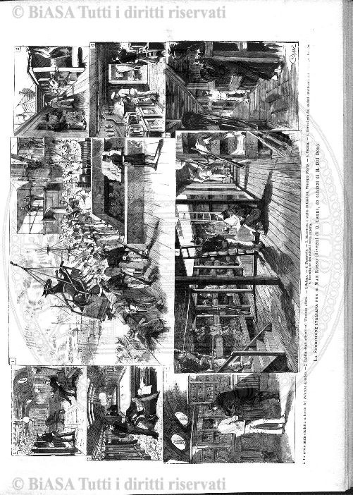 n. 3 (1884) - Pagina: 33