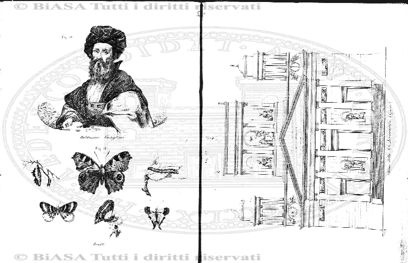 v. 15, parte 1 (1890) - Copertina: 1