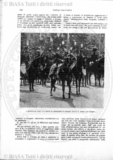 v. 19, n. 112 (1904) - Copertina: 1
