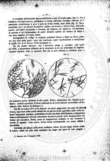s. 8, v. 28, n. 7 (1984-1985-1986) - Copertina: 1