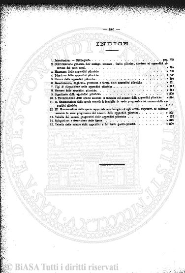 v. 1, n. 6 (1908) - Pagina: 301