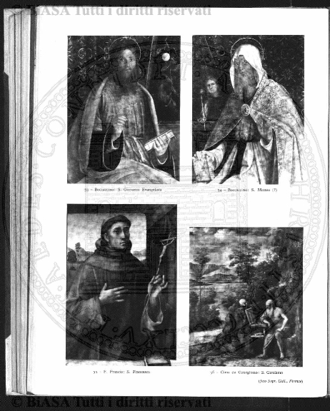 n. 11 (1903) - Pagina: 85