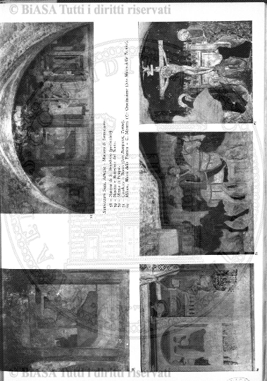 v. 21, n. 29 (1794-1795) - Pagina: 225