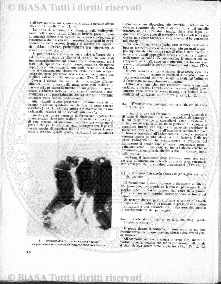 n.s., mar-giu (1894) - Pagina: 73