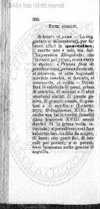 s. 2, n. 43 (1889-1890) - Pagina: 985
