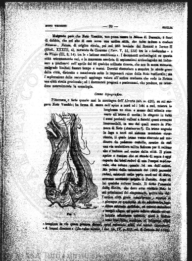 v. 17, n. 19 (1850-1851) - Pagina: 145