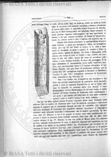 n. 14 (1911) - Frontespizio