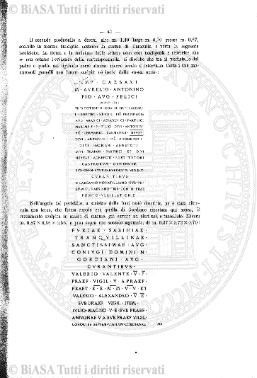 v. 19, n. 113 (1904) - Copertina: 1