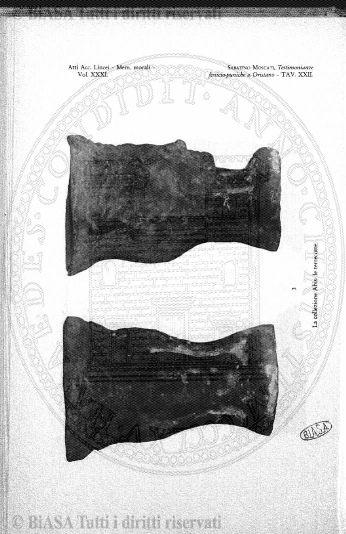 n. 21 (1899) - Frontespizio