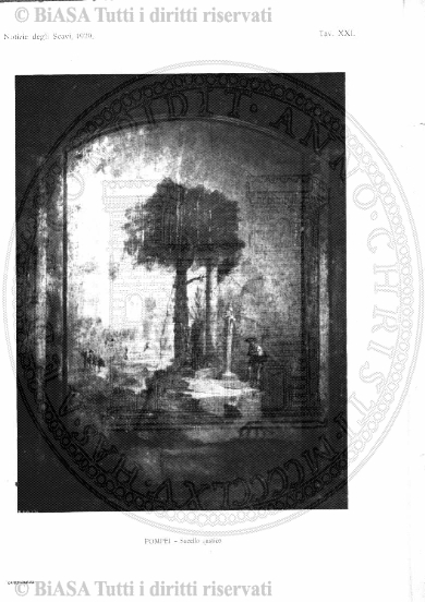 n. 30 (1889) - Pagina: 233 e sommario