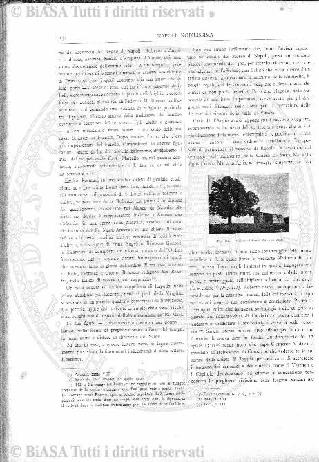 n.s., v. 1, n. 3 (1920) - Pagina: 33