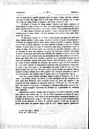 n. 5 (1886) - Frontespizio
