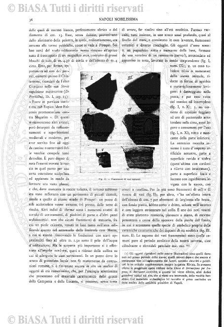 v. 9, n. 26 (1844-1845) - Pagina: 205