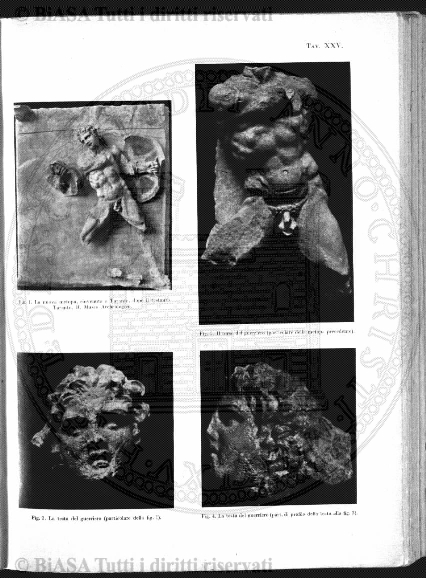 v. 11, n. 32 (1784-1785) - Pagina: 257