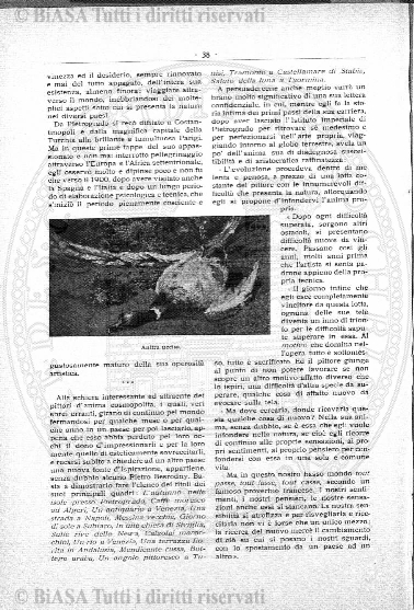 n. 19 (1890-1891) - Pagina: XIII