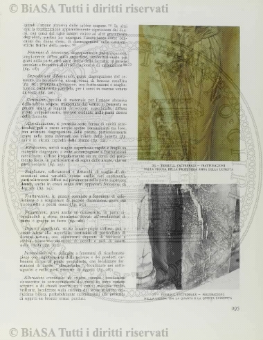 n. 8 (1925-1926) - Pagina: 397