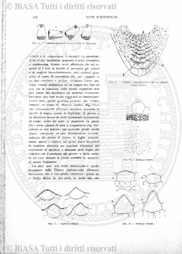 v. 17, n. 10 (1850-1851) - Pagina: 73