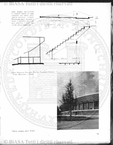 v. 2, n. 11 (1835-1836) - Pagina: 81