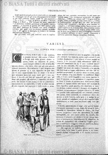 v. 10, n. 29 (1845-1846) - Pagina: 225