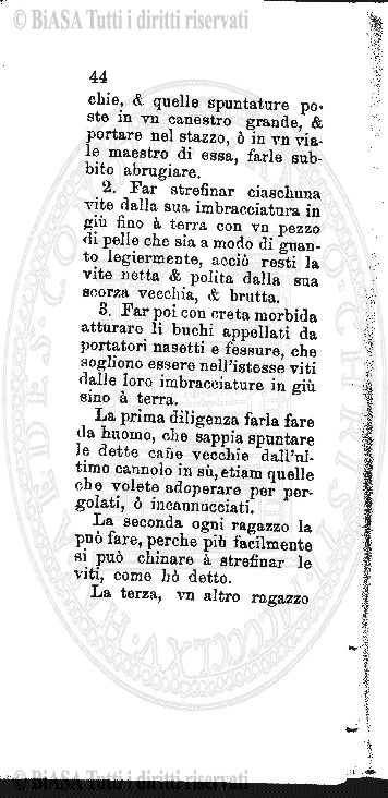 s. 5, v. 25 (1916) - Copertina: 1