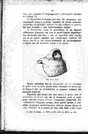 n. 15 (1915) - Copertina: 1