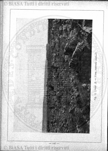 n. 25 (1921) - Frontespizio