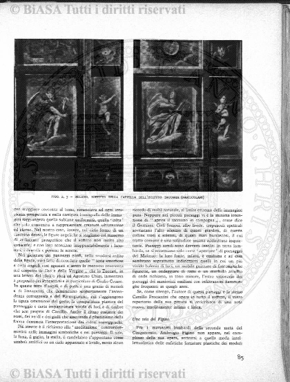 n. 5 (1845) - Pagina: 65