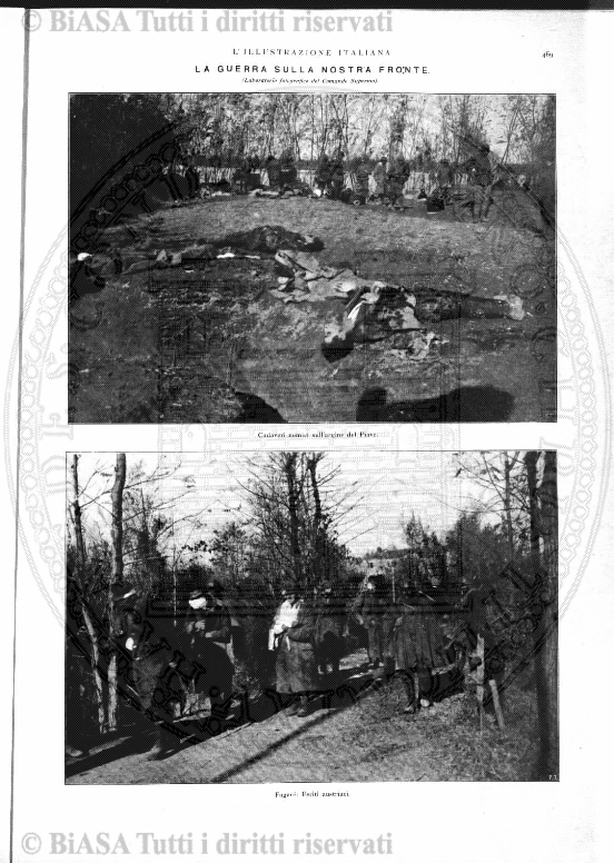 n. 44 (1885-1886) - Pagina: 345 e sommario