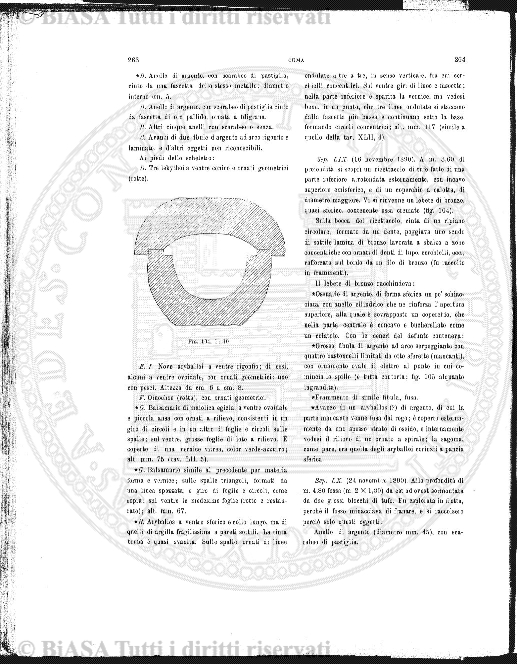 v. 27, n. 39 (1860-1861) - Pagina: 305