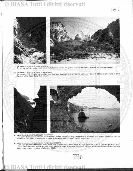 n. 7-8 (1920) - Pagina: 49