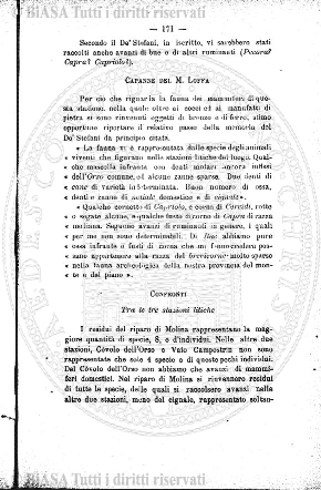 n. 9 (1867) - Pagina: 177